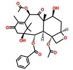 13-Oxobaccatin III
